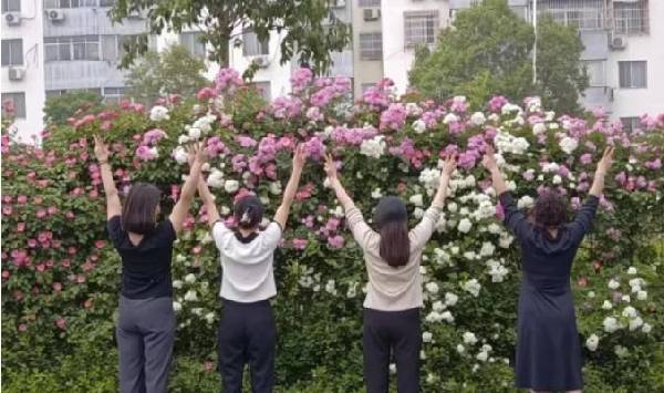 团建活动丨繁花雅颂 聚力前行